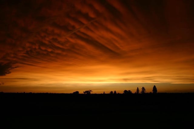 view of nature at dusk