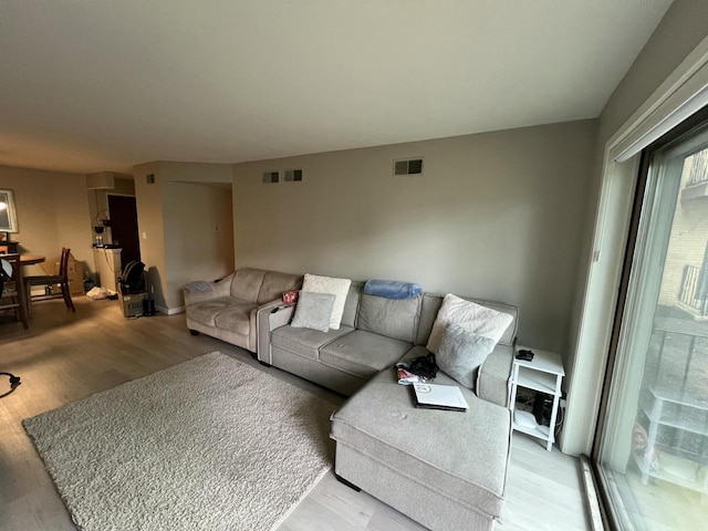 living room with wood-type flooring