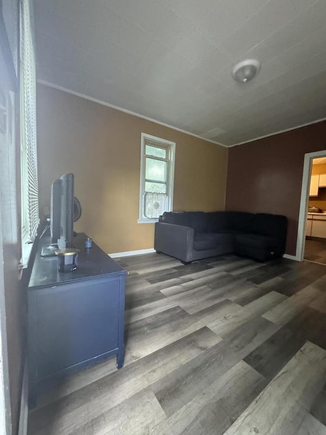 living room featuring hardwood / wood-style floors