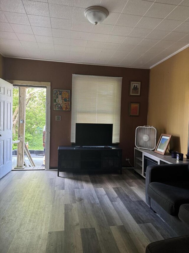 living room featuring ornamental molding and hardwood / wood-style flooring