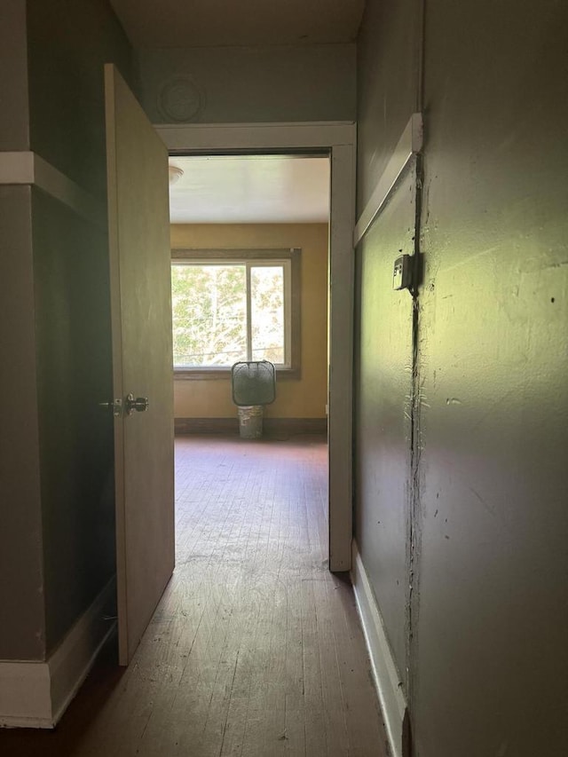 hallway with wood-type flooring