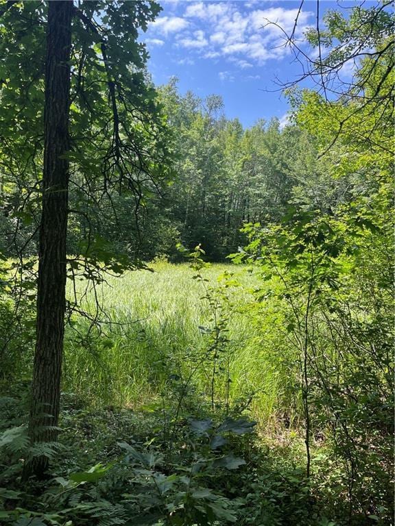 XX Highway 77, Minong WI, 54859 land for sale