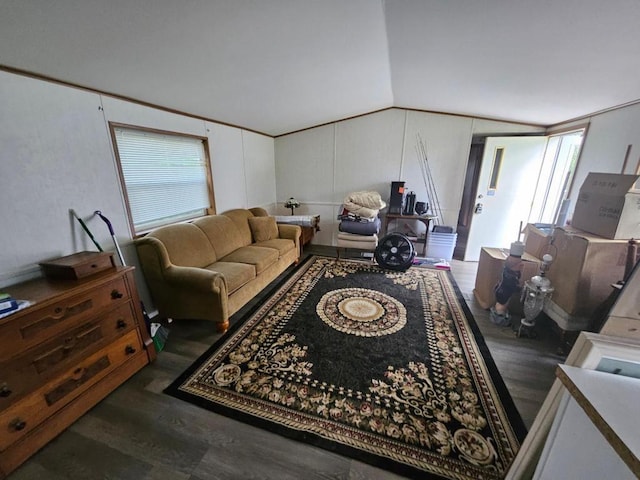 living room with vaulted ceiling and dark wood-type flooring