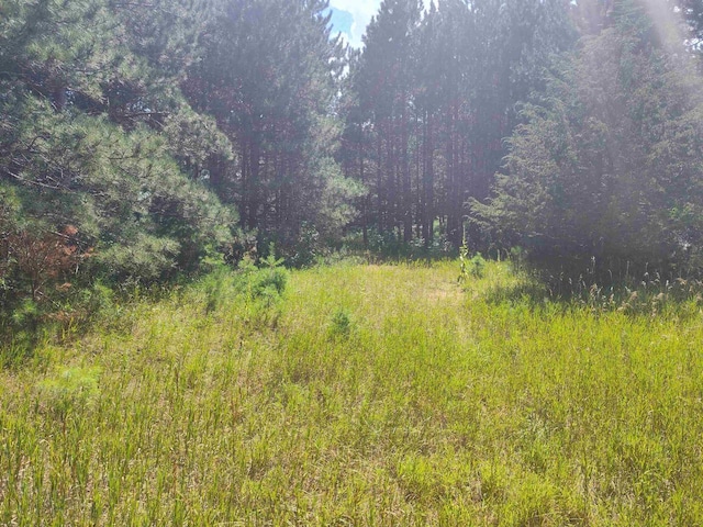 LOT114 County Road Z, Arkdale WI, 54613 land for sale