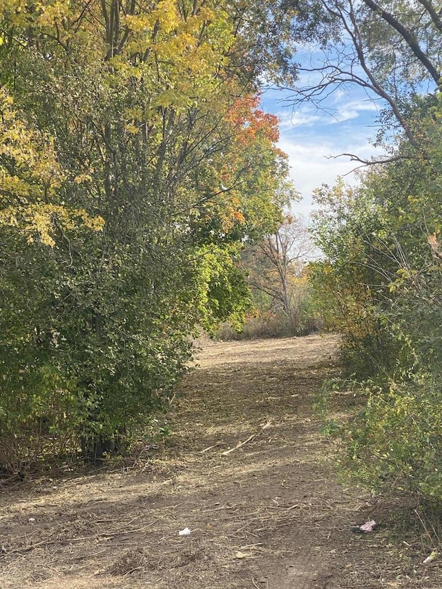 LT1 Old Green Bay Rd, Pleasant Prairie, WI 53158
