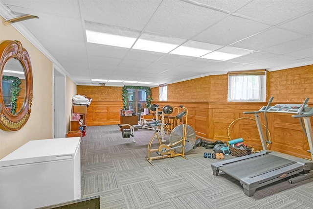 exercise area with a paneled ceiling, ornamental molding, carpet floors, and wooden walls