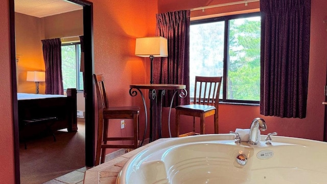 bathroom with a bathing tub and a wealth of natural light