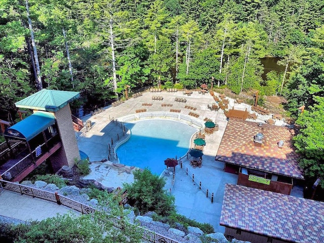 view of pool with a patio