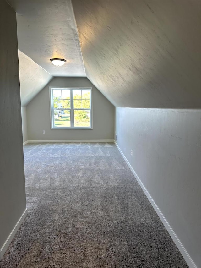 additional living space with lofted ceiling and carpet flooring