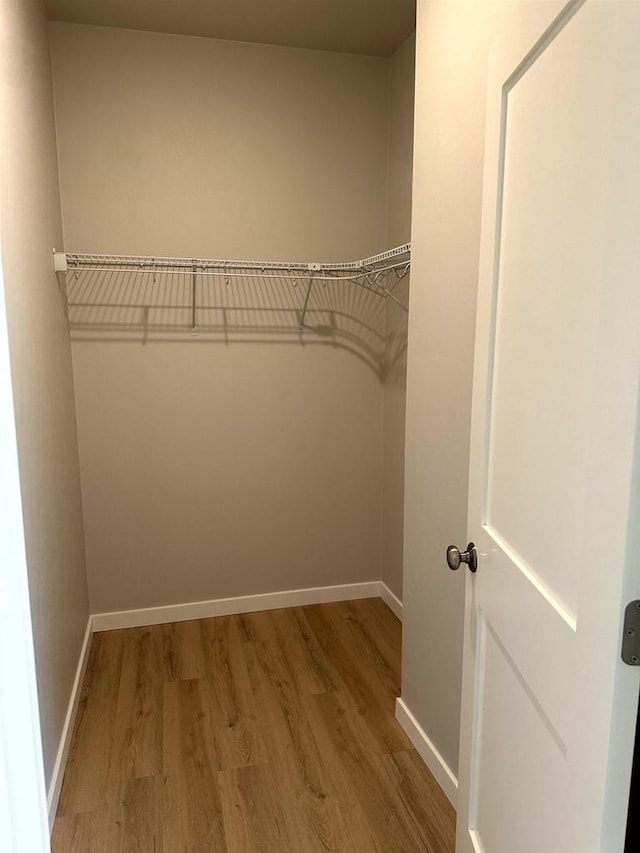 walk in closet with hardwood / wood-style flooring