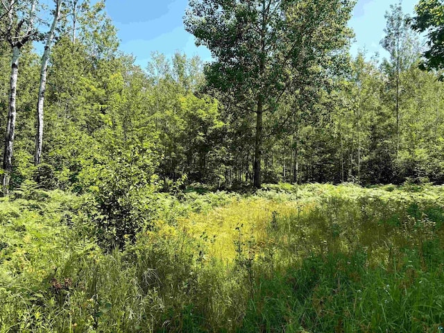 25XX N Shore Rd, La Pointe WI, 54850 land for sale