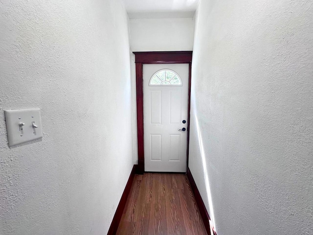 entryway featuring dark wood-type flooring