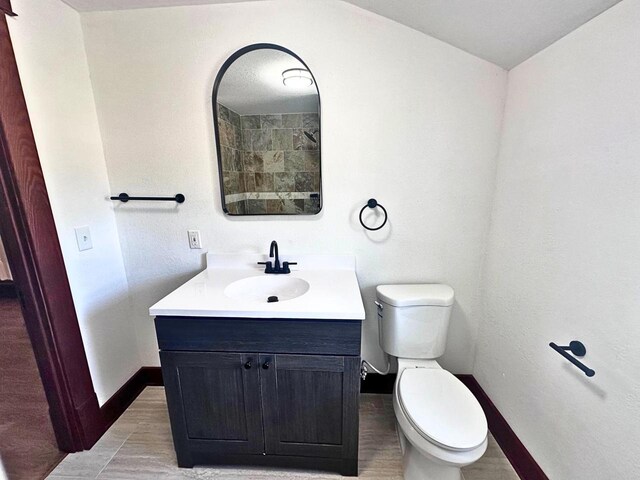 bathroom with toilet and vanity