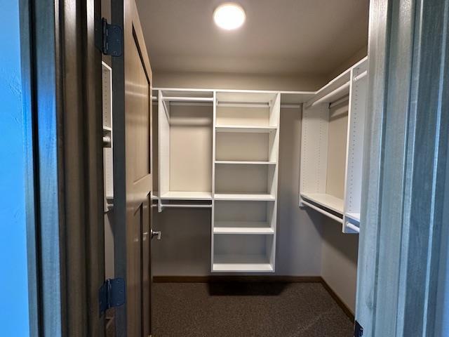 spacious closet with carpet