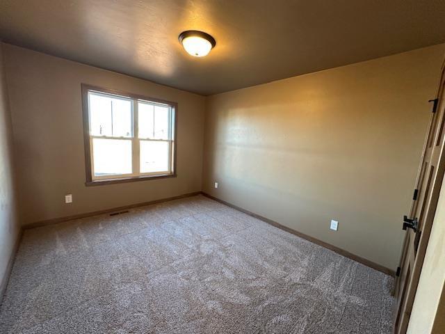 spare room with carpet