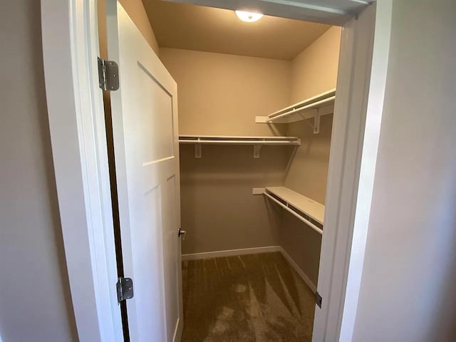 walk in closet featuring dark carpet