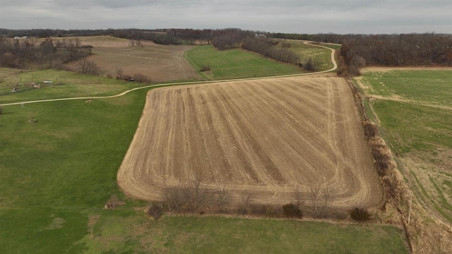 birds eye view of property featuring a rural view