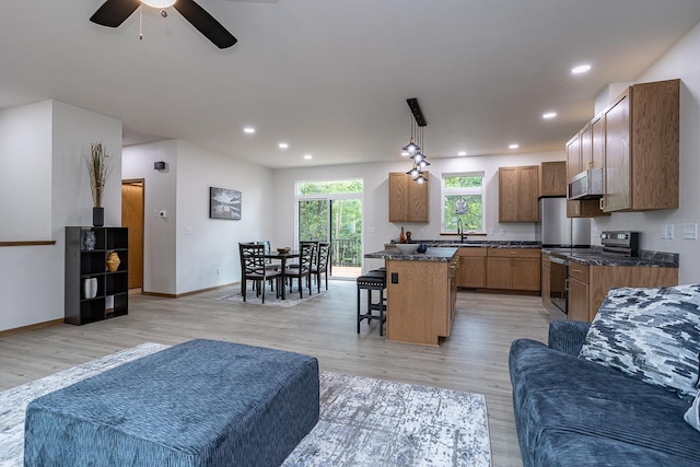 living room featuring light hardwood / wood-style flooring