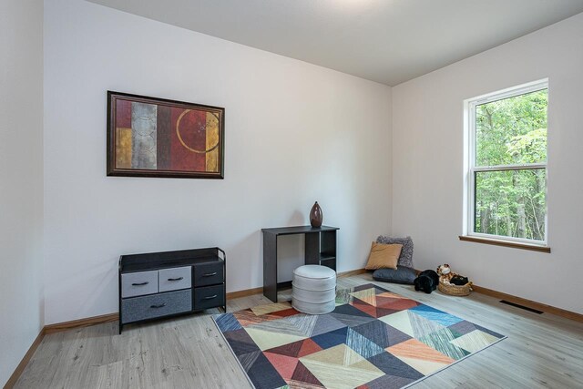 interior space featuring light hardwood / wood-style floors