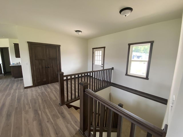 staircase with a wealth of natural light and hardwood / wood-style flooring