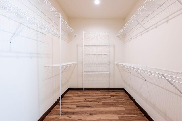 walk in closet featuring hardwood / wood-style flooring