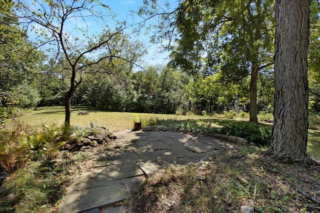 view of yard with a patio area