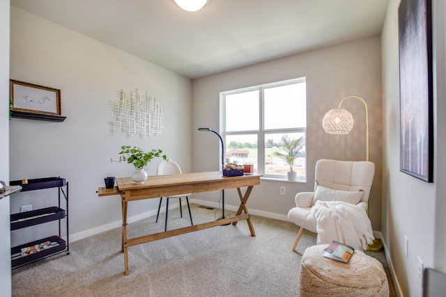 view of carpeted home office