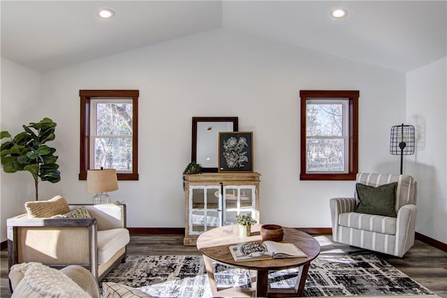 living area featuring lofted ceiling and dark wood-type flooring