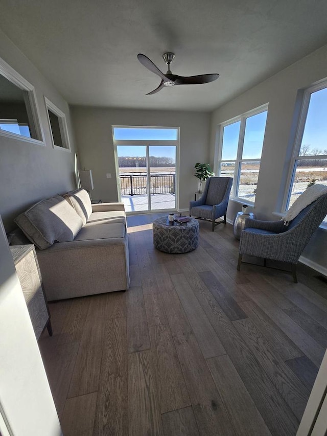 living room with ceiling fan and dark hardwood / wood-style flooring