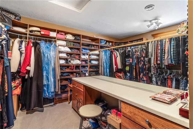 walk in closet featuring light carpet