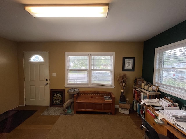 entrance foyer with dark wood-type flooring