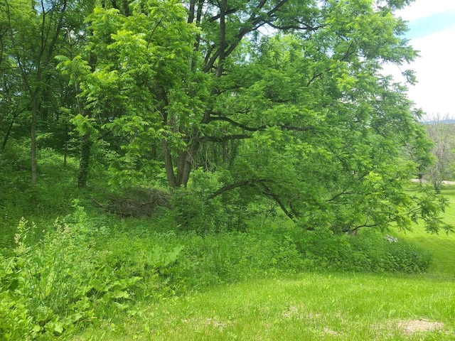 view of landscape with a forest view