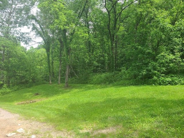 view of yard featuring a forest view