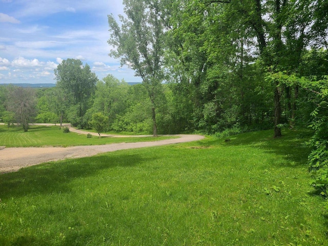 view of property's community featuring a lawn