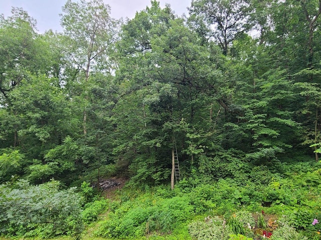 view of nature with a wooded view