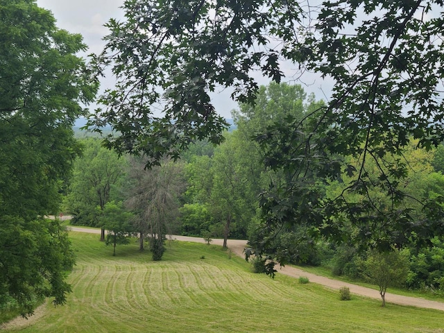 view of property's community featuring a lawn