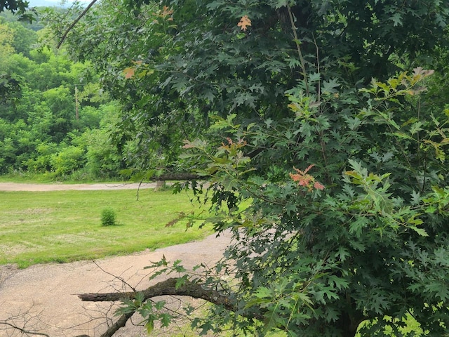 view of property's community with a lawn