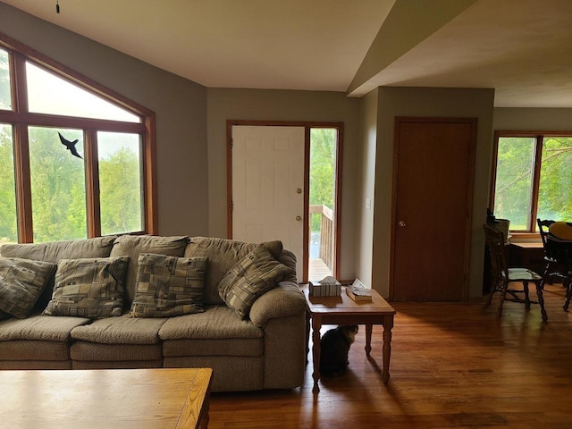 living room featuring dark wood-style flooring