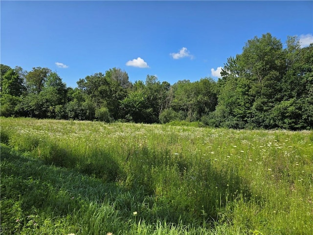 Listing photo 2 for LOT8 Hemlock Rd, Eleva WI 54701