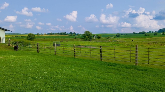 view of yard featuring a rural view