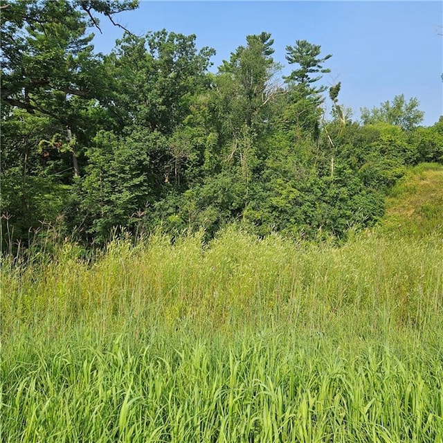 XXX Eau Galle Dr, Elmwood WI, 54767 land for sale