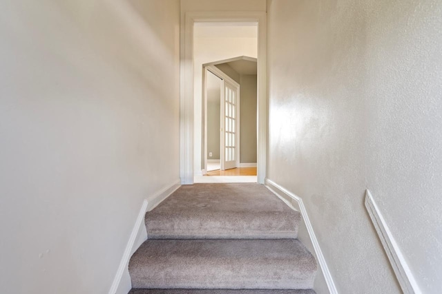 staircase featuring carpet flooring