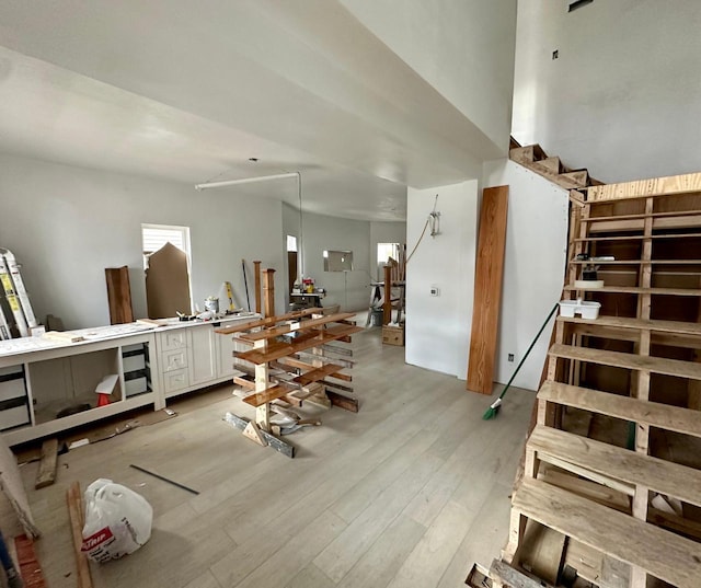 interior space featuring light hardwood / wood-style floors