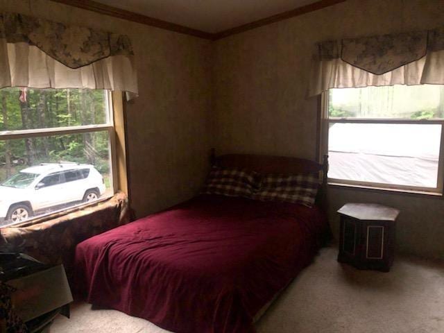 bedroom with light colored carpet and ornamental molding