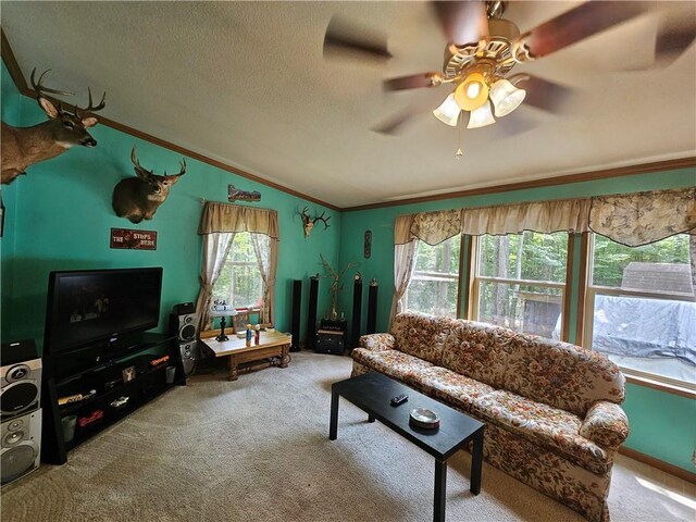 carpeted living room featuring ceiling fan, ornamental molding, lofted ceiling, and a textured ceiling