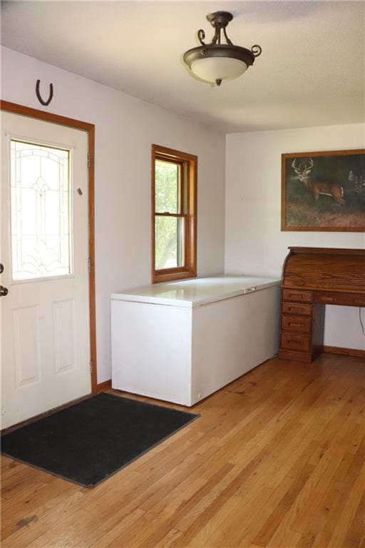 entrance foyer with light hardwood / wood-style floors