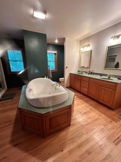 bathroom with vanity, hardwood / wood-style flooring, a tub, and toilet