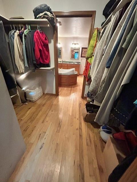 walk in closet with light wood-type flooring