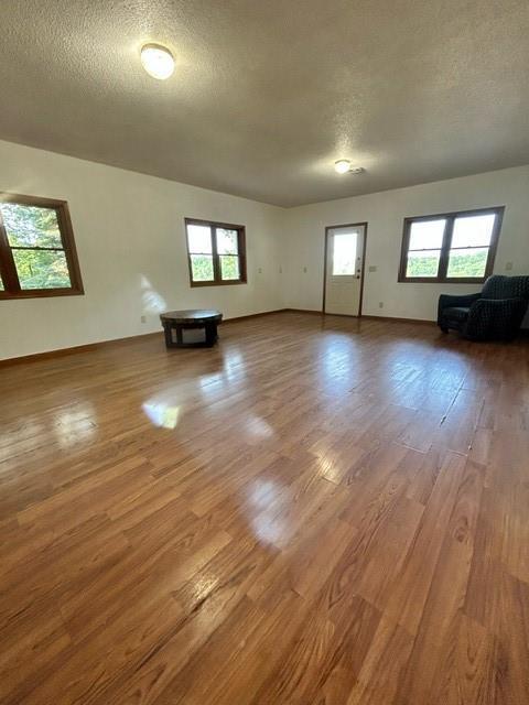 unfurnished living room featuring wood-type flooring, a textured ceiling, and a wealth of natural light