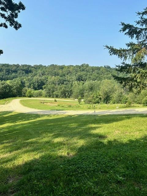 view of community featuring a lawn